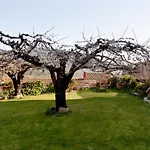 La Escapada Villarejo del Valle