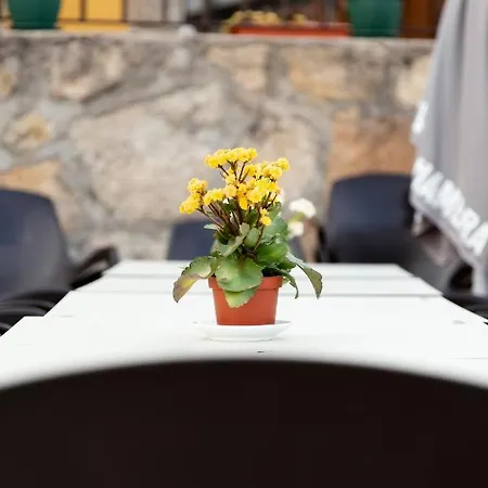 La Escapada Apartamento *