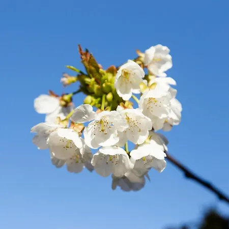 Apartamento La Escapada