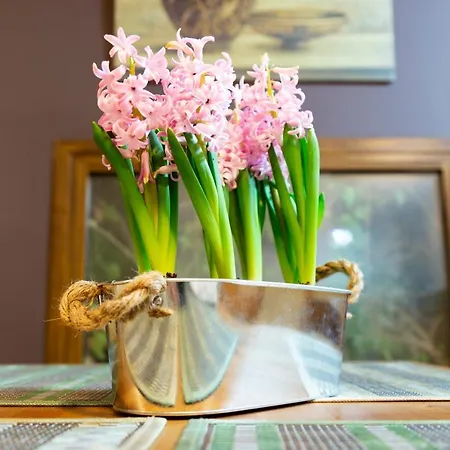 Apartamento La Escapada *