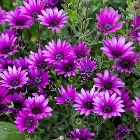 Apartamento La Escapada Villarejo del Valle