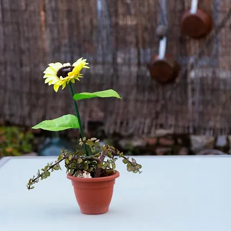 La Escapada 아파트 *