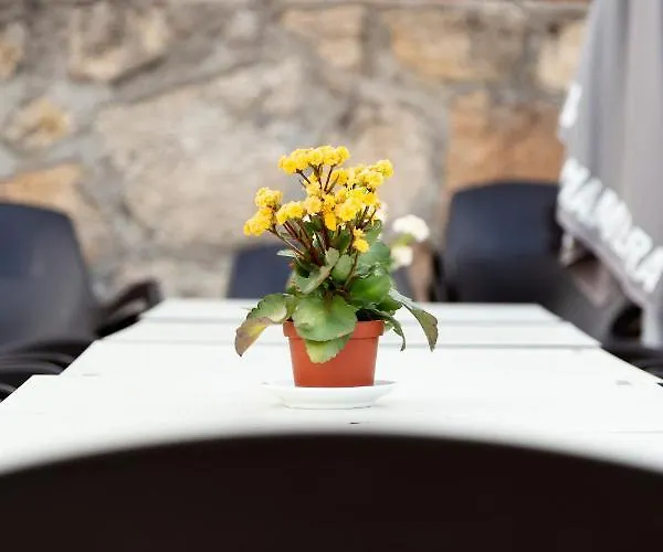 La Escapada Apartment *