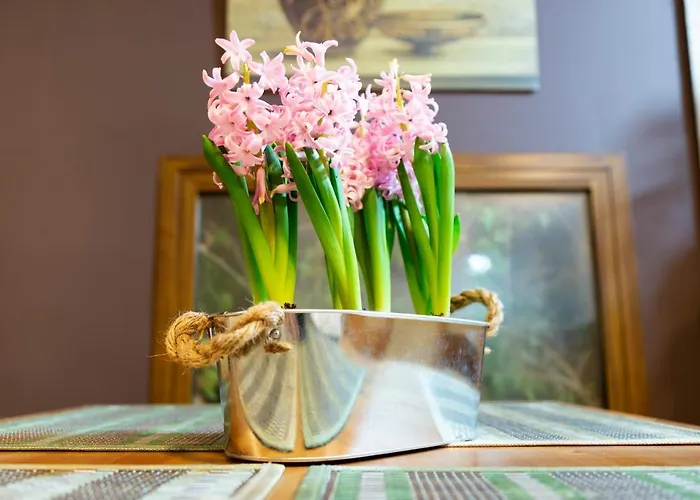 Apartment La Escapada *