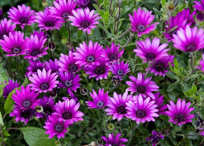 Appartement La Escapada Villarejo del Valle