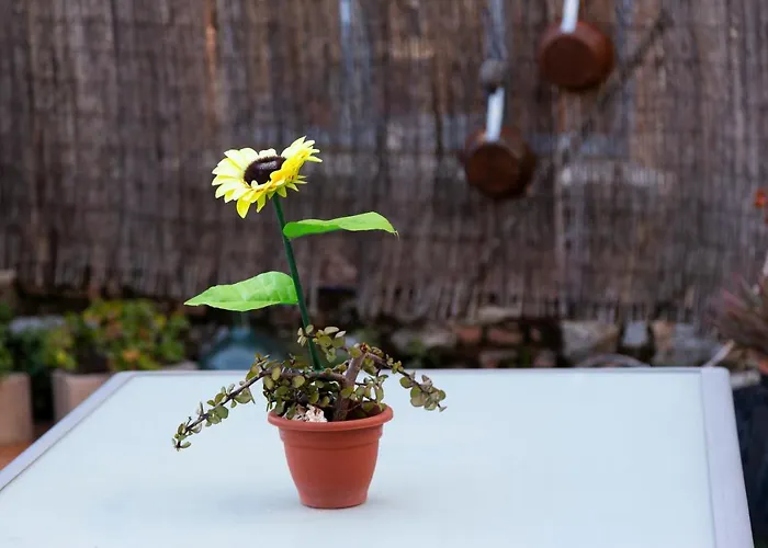 La Escapada Apartment *