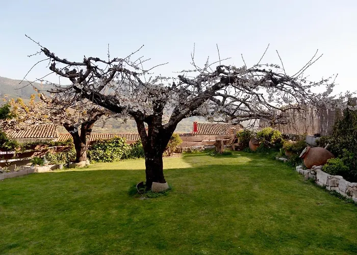 La Escapada Villarejo del Valle